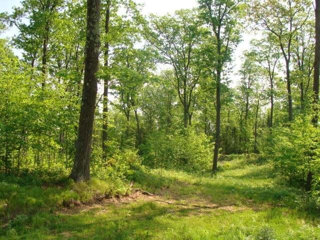 120-a Sand Lake Road Harshaw, WI 54529 - Photo 4 of 11 Gallery Image 4