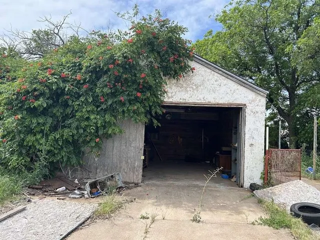 a view of backyard with a barn and a large tree