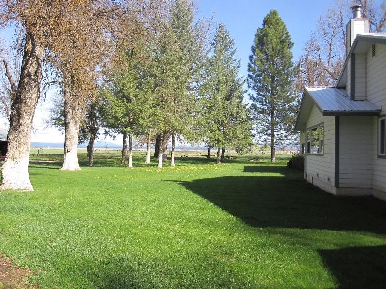 43763 McArthur Road Fall River Mills, CA 96028 - Photo 8 of 46 a view of a park with large trees