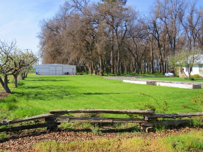 43763 McArthur Road Fall River Mills, CA 96028 - Photo 9 of 46 a backyard of a house with lots of green space