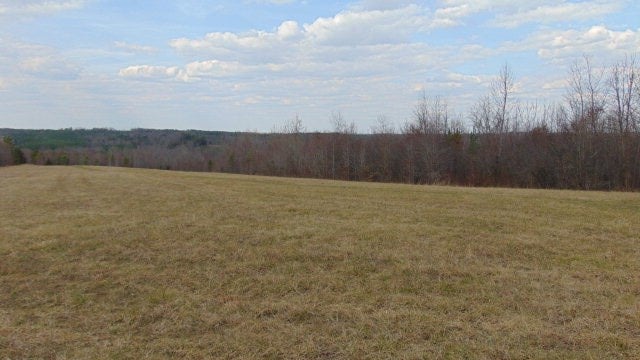 Beulah Road Nathalie, VA 24577 - Photo 2 of 15 Gallery Image 2