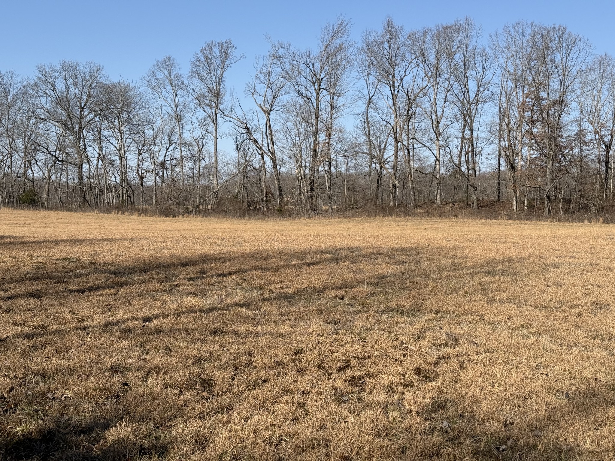0 New Hope Road Hilham, TN 38568 - Photo 12 of 14