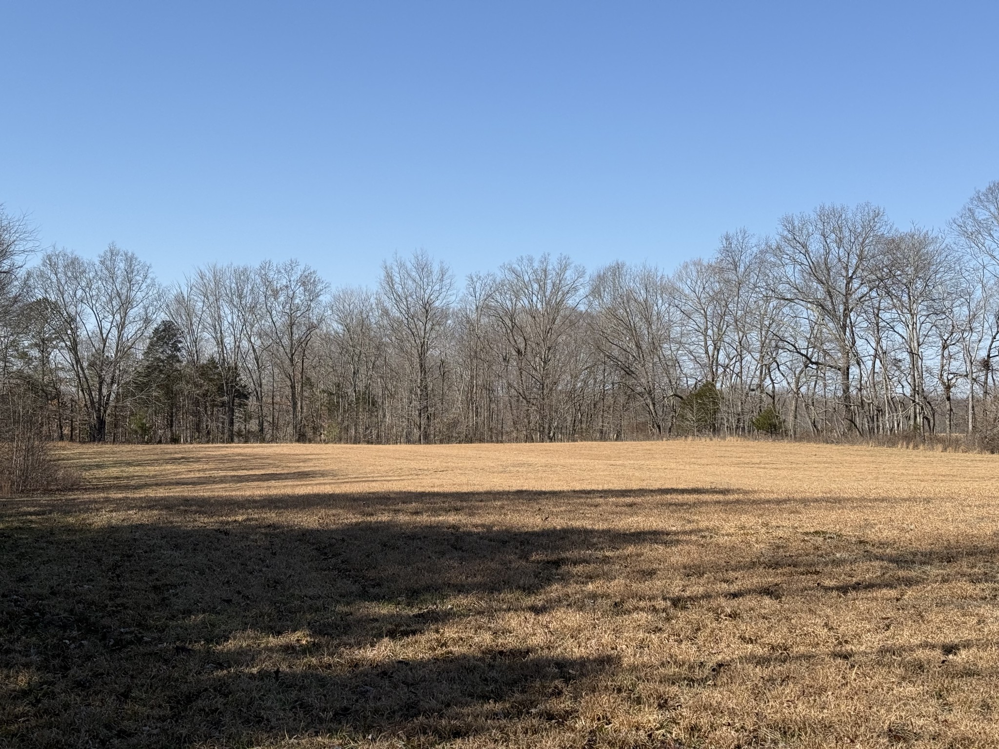 0 New Hope Road Hilham, TN 38568 - Photo 14 of 14