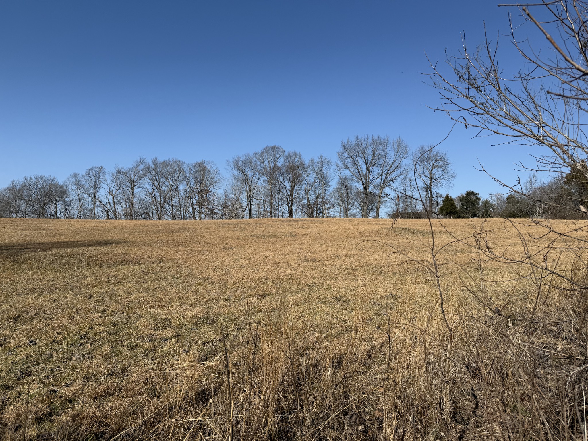 0 New Hope Road Hilham, TN 38568 - Photo 3 of 14