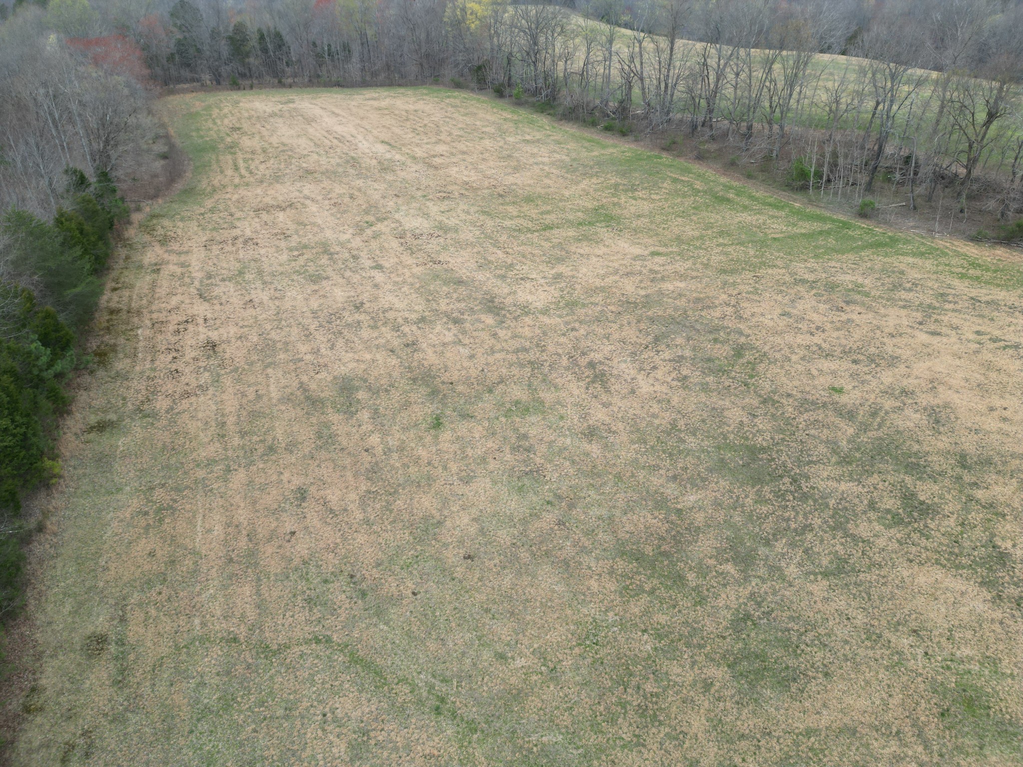 0 New Hope Road Hilham, TN 38568 - Photo 4 of 14