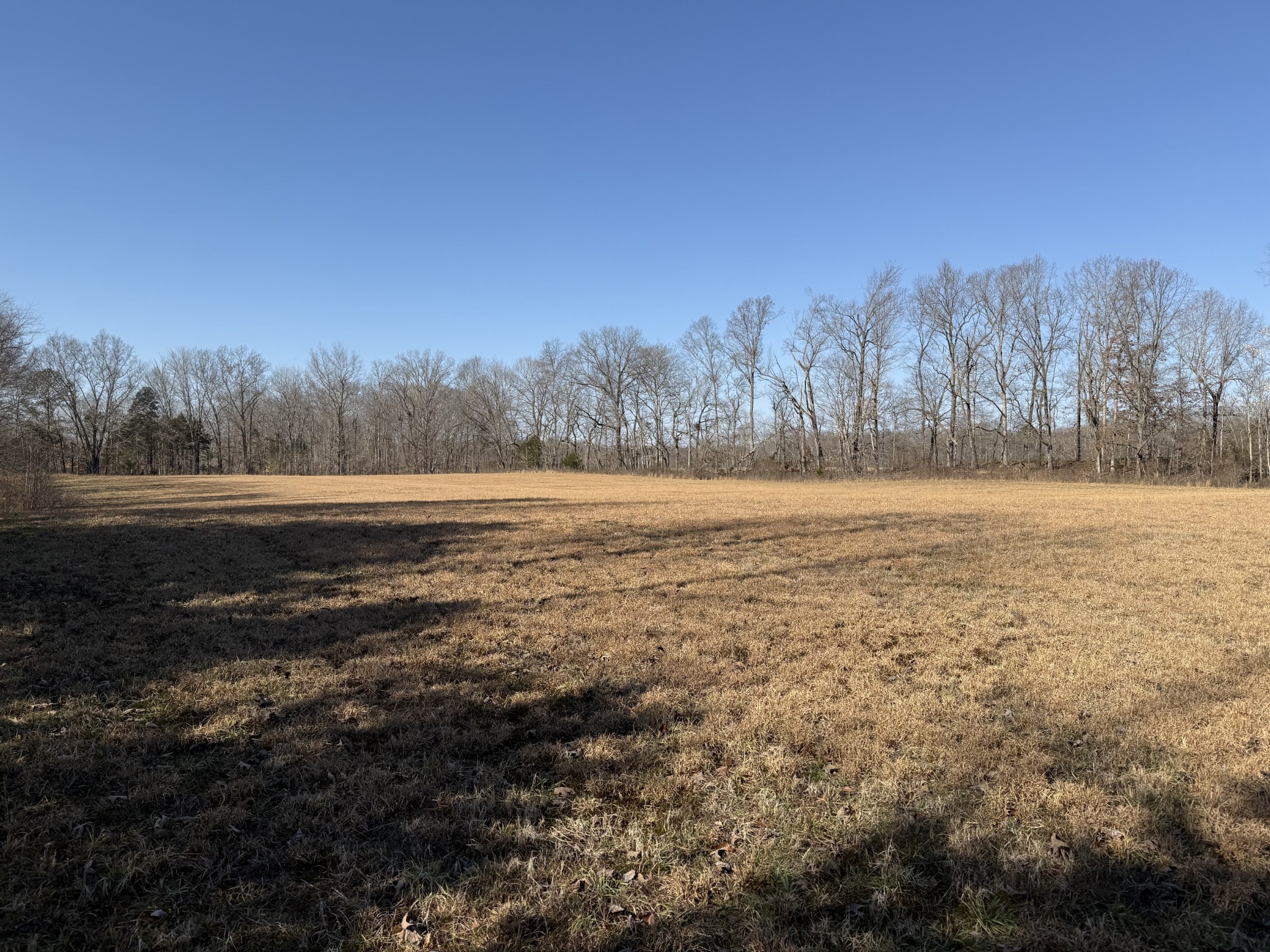 0 New Hope Road Hilham, TN 38568 - Photo 5 of 14