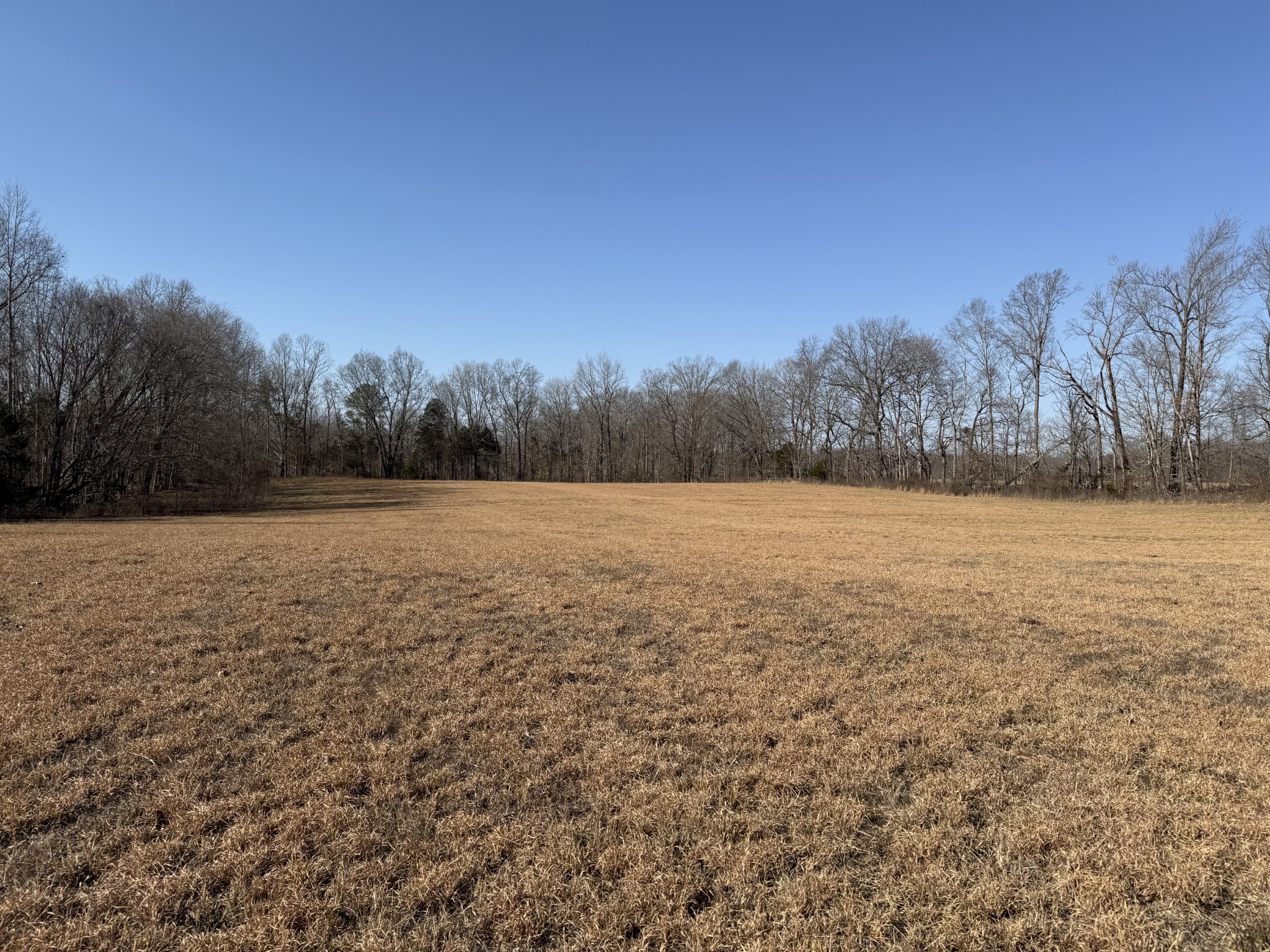 0 New Hope Road Hilham, TN 38568 - Photo 6 of 14