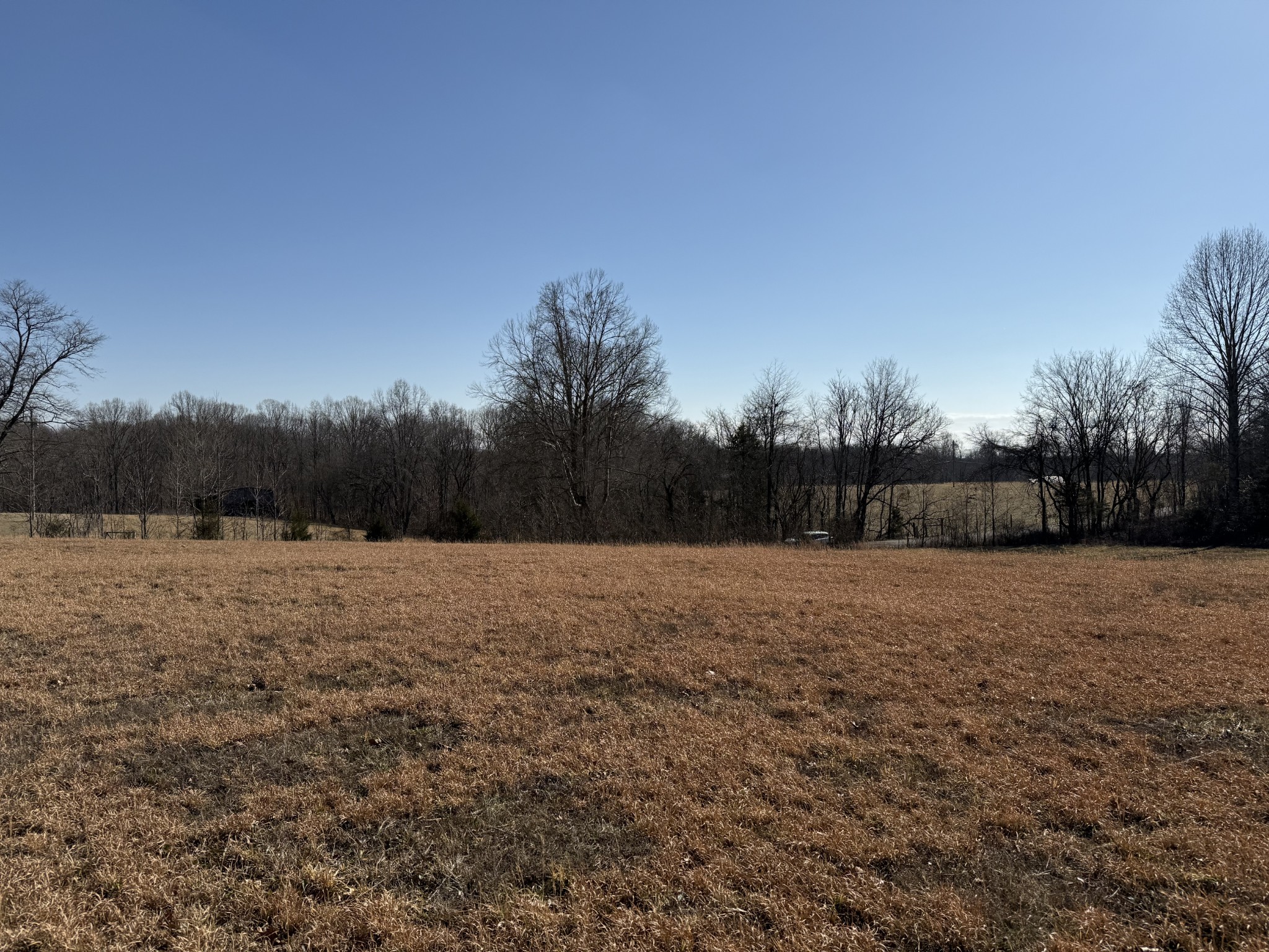 0 New Hope Road Hilham, TN 38568 - Photo 8 of 14