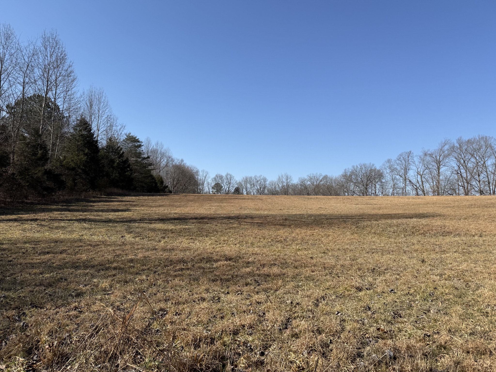 0 New Hope Road Hilham, TN 38568 - Photo 10 of 14