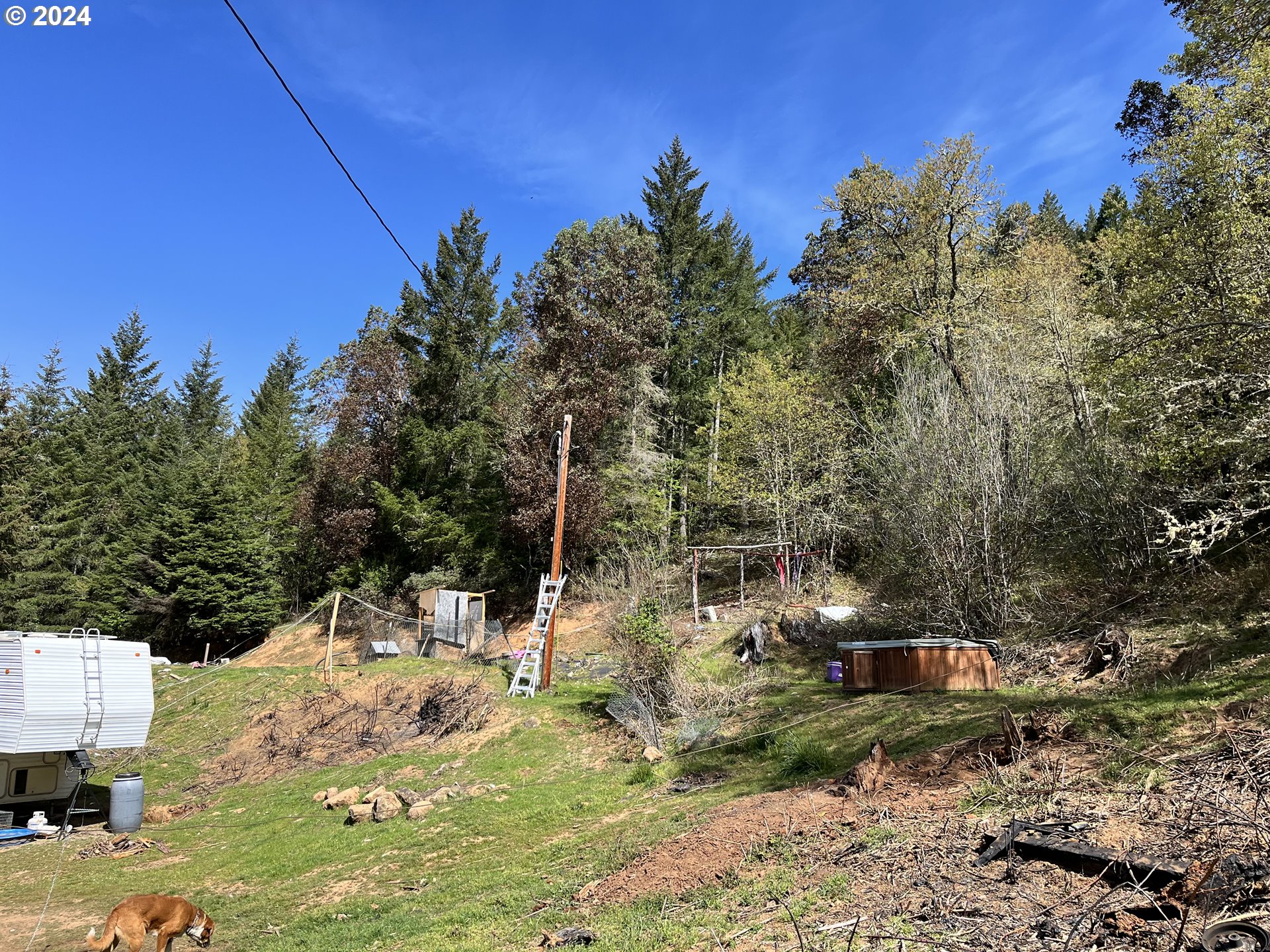 145 Holmes Creek Road Camas Valley, OR 97416 - Photo 11 of 20 a view of outdoor space yard and blue swimming pool