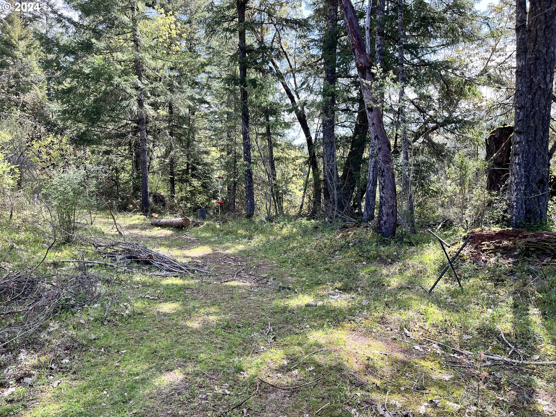 145 Holmes Creek Road Camas Valley, OR 97416 - Photo 12 of 20 a view of outdoor space and trees