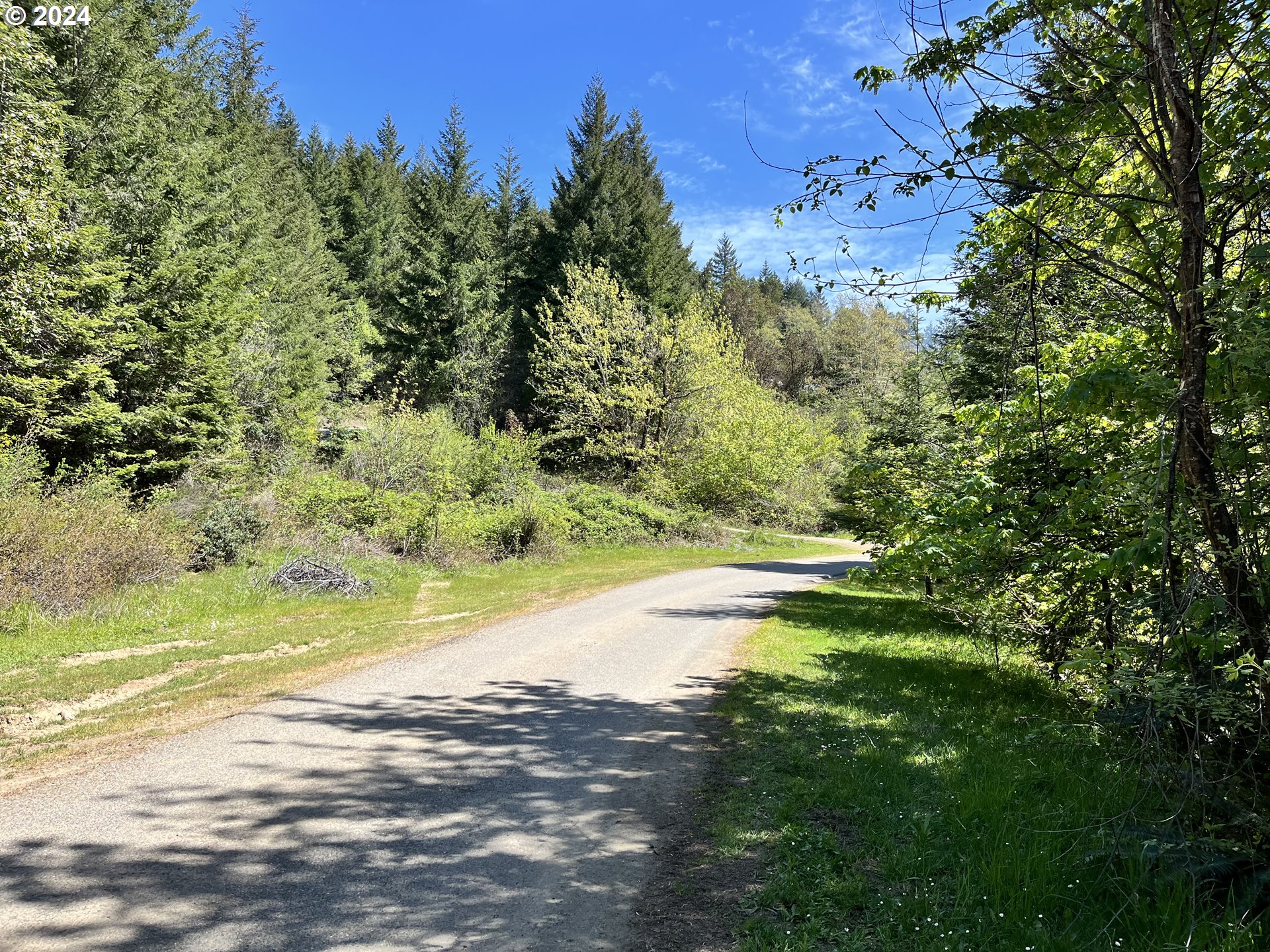 145 Holmes Creek Road Camas Valley, OR 97416 - Photo 14 of 20 a view of a lake view with beach