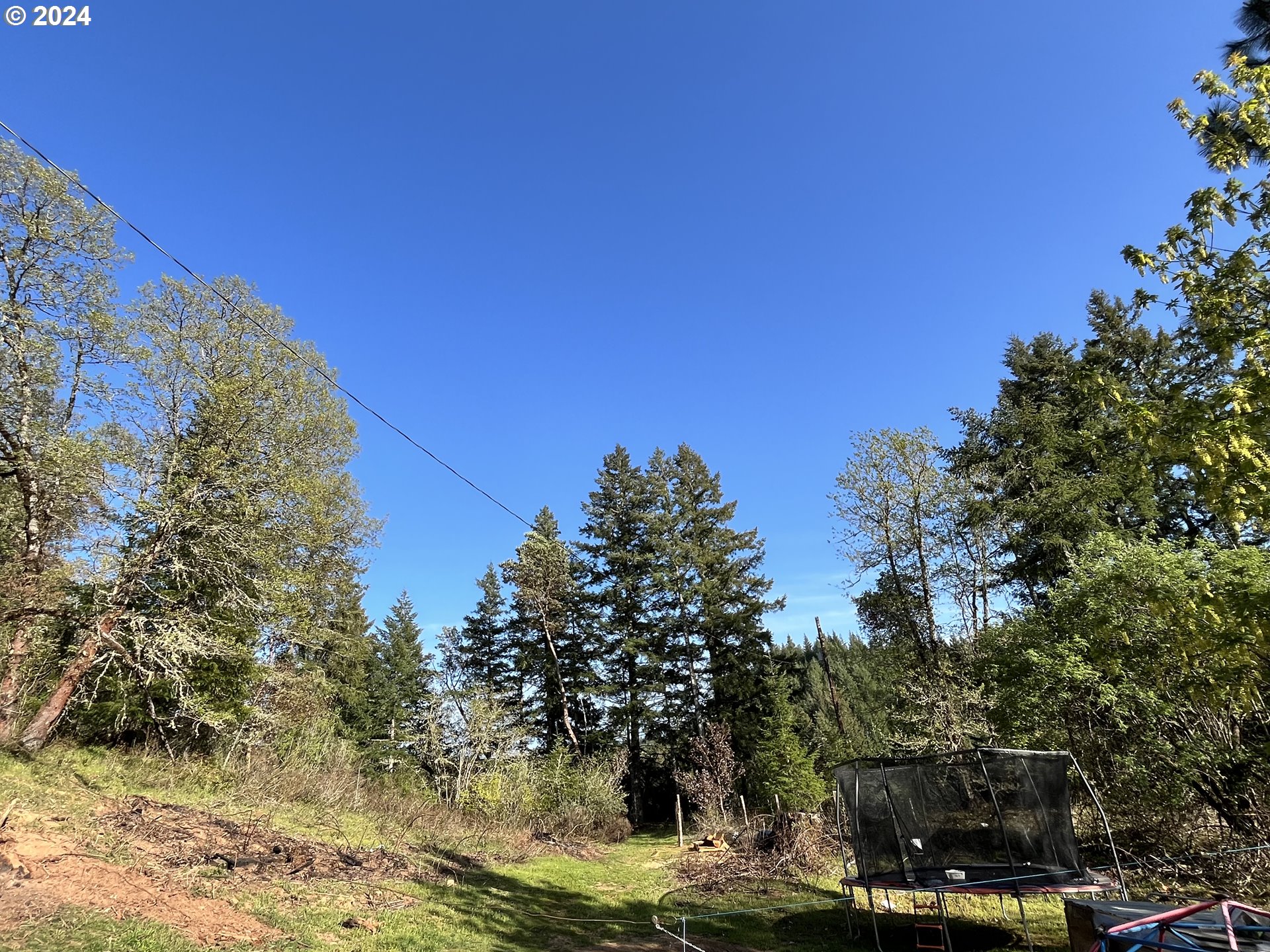 145 Holmes Creek Road Camas Valley, OR 97416 - Photo 4 of 20 a view of a yard with large trees