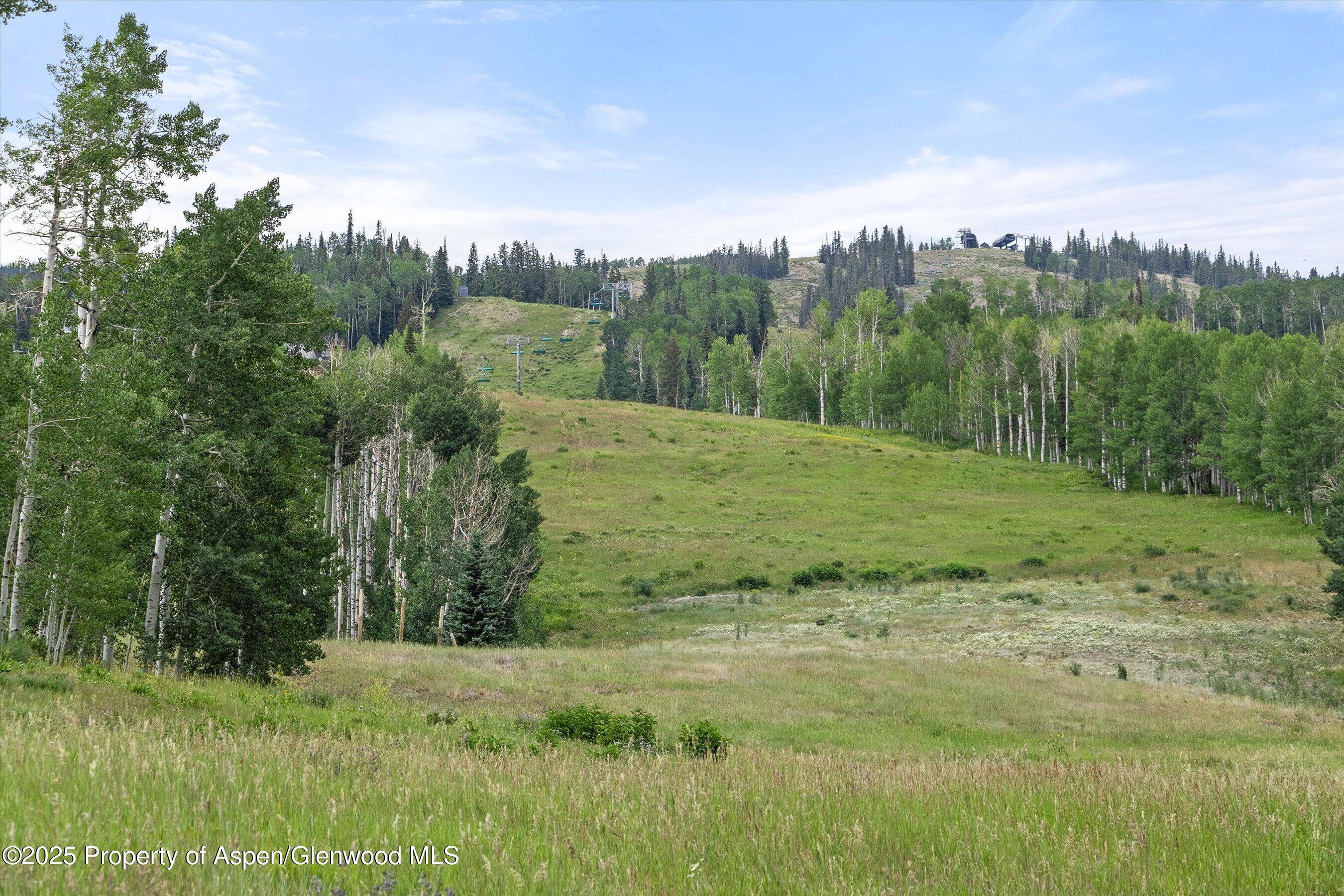 855 Carriage Way, Unit 103 Snowmass Village, CO 81615 - Photo 20 of 26 a view of a field with trees in the background