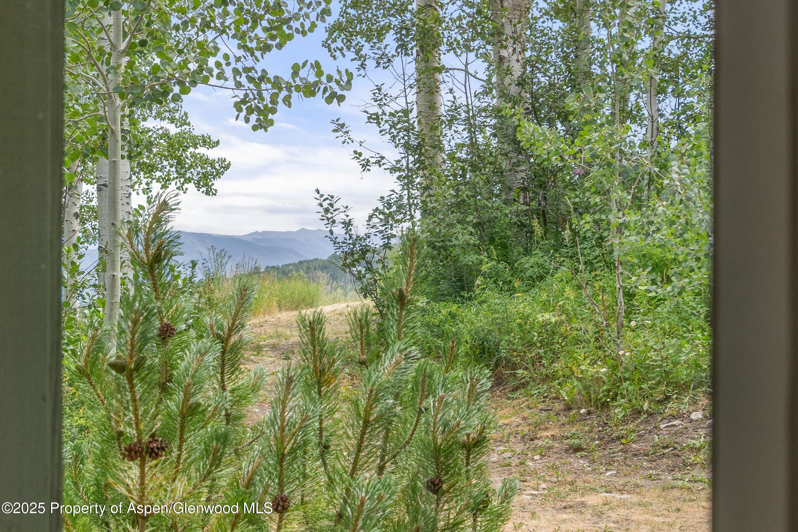 855 Carriage Way, Unit 103 Snowmass Village, CO 81615 - Photo 21 of 26 a view of a yard