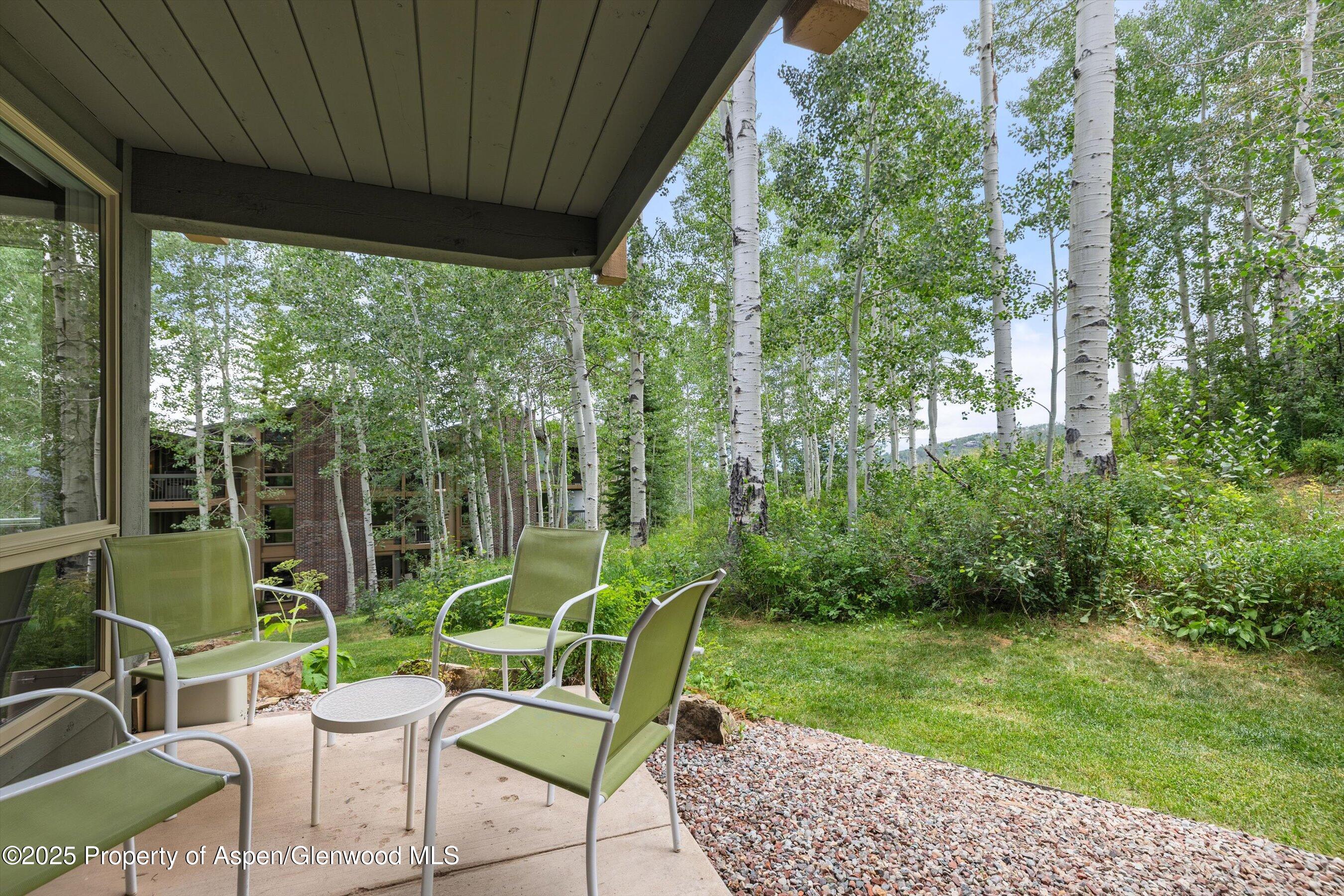 855 Carriage Way, Unit 103 Snowmass Village, CO 81615 - Photo 5 of 26 a view of a chair and table in backyard of the house