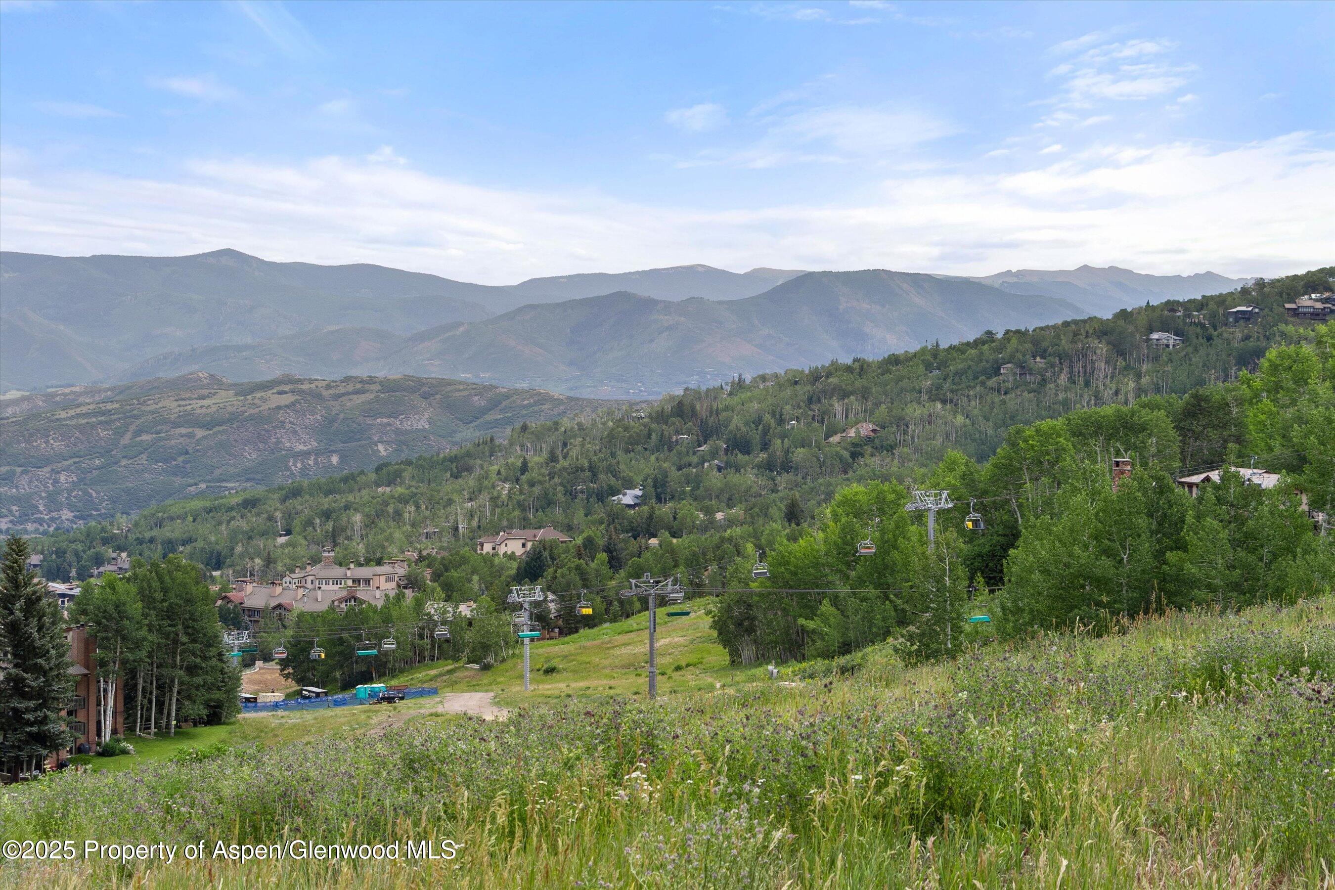 855 Carriage Way, Unit 103 Snowmass Village, CO 81615 - Photo 10 of 26 a view of a lush green hillside and a building