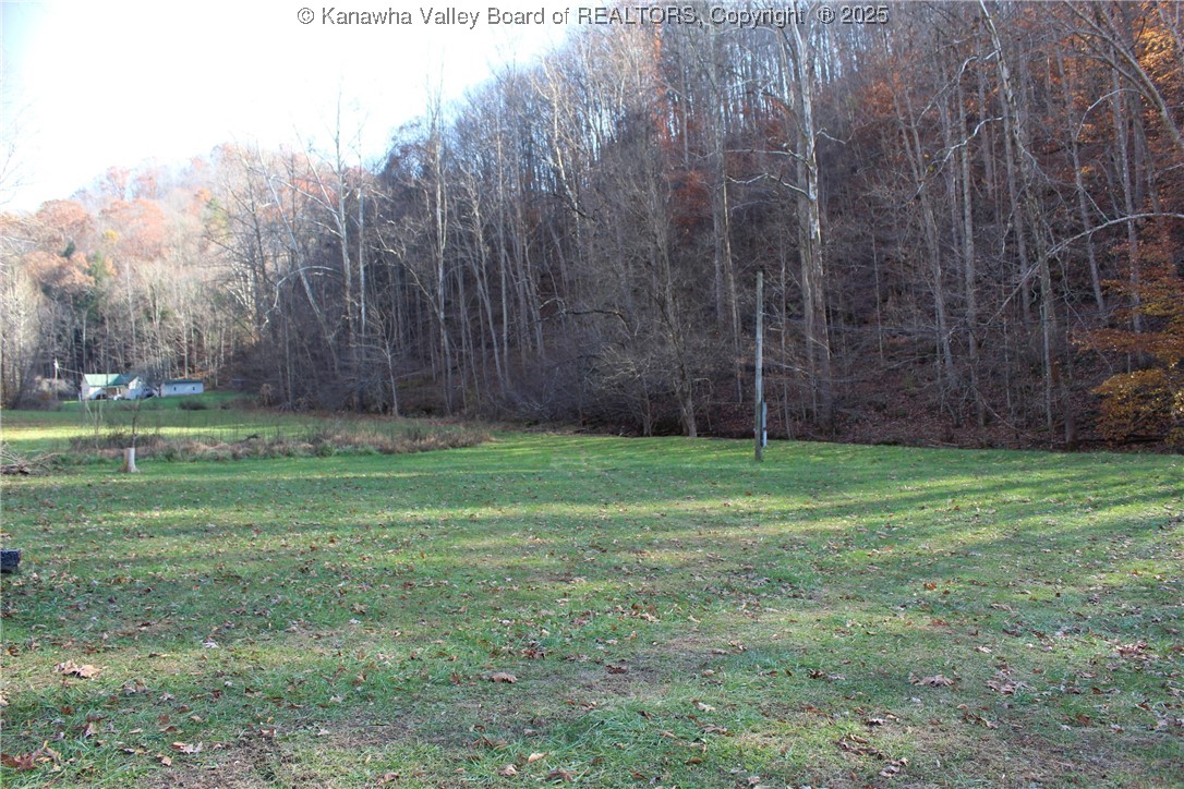 558 Sears Run Road Chloe, WV 25235 - Photo 2 of 29 Gallery Image 2
