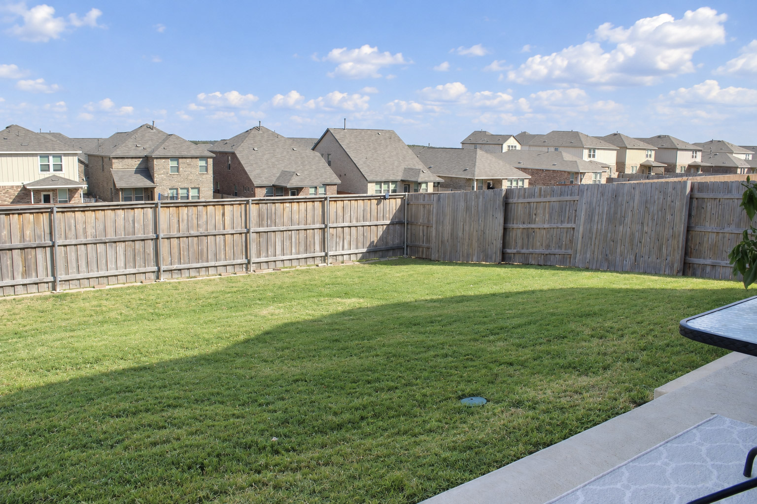181 Tree Nut Loop Buda, TX 78610 - Photo 22 of 33 A spacious grassy lawn sits securely enclosed within a tall privacy fence.