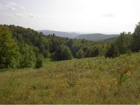 Lathrop Road Chelsea, VT 05038 - Photo 1 of 1