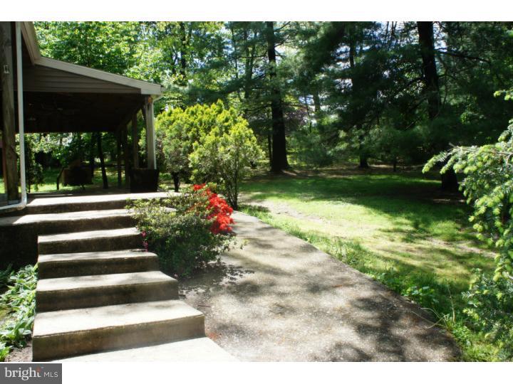 373 Lester Road Springfield, PA 19064 - Photo 22 of 25 Exterior Back