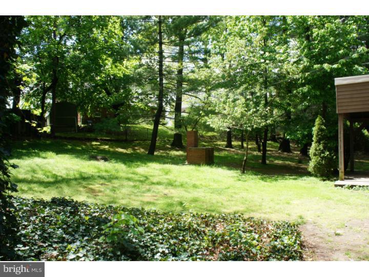 373 Lester Road Springfield, PA 19064 - Photo 24 of 25 Back Yard