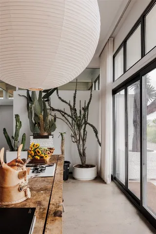 a living room with furniture and a potted plant