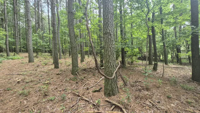 a view of a tennis court