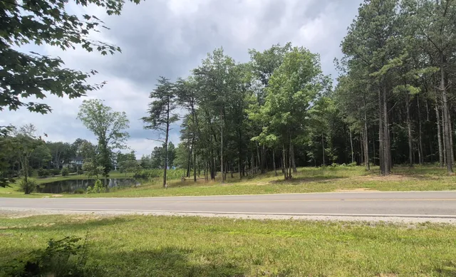 a view of outdoor space and trees