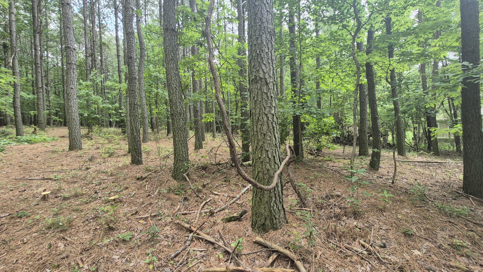 4560 Raulston Falls Drive Jasper, TN 37347 - Photo 12 of 47