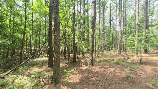a view of outdoor space and trees
