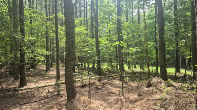 a view of outdoor space and trees