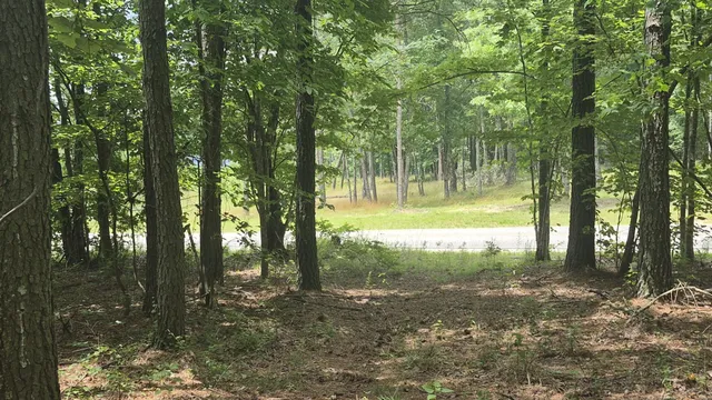 a bathroom with a shower curtain