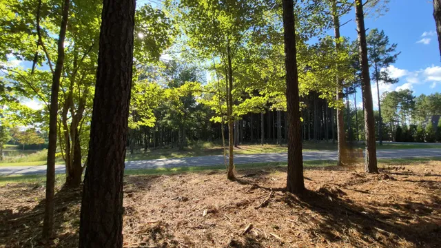 a view of outdoor space with lots of trees