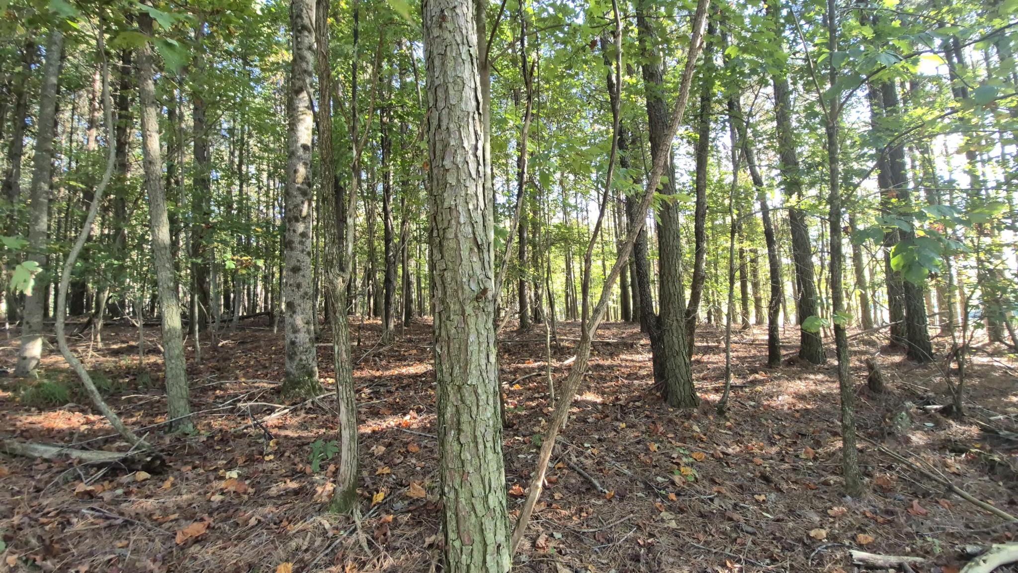 4560 Raulston Falls Drive Jasper, TN 37347 - Photo 21 of 47