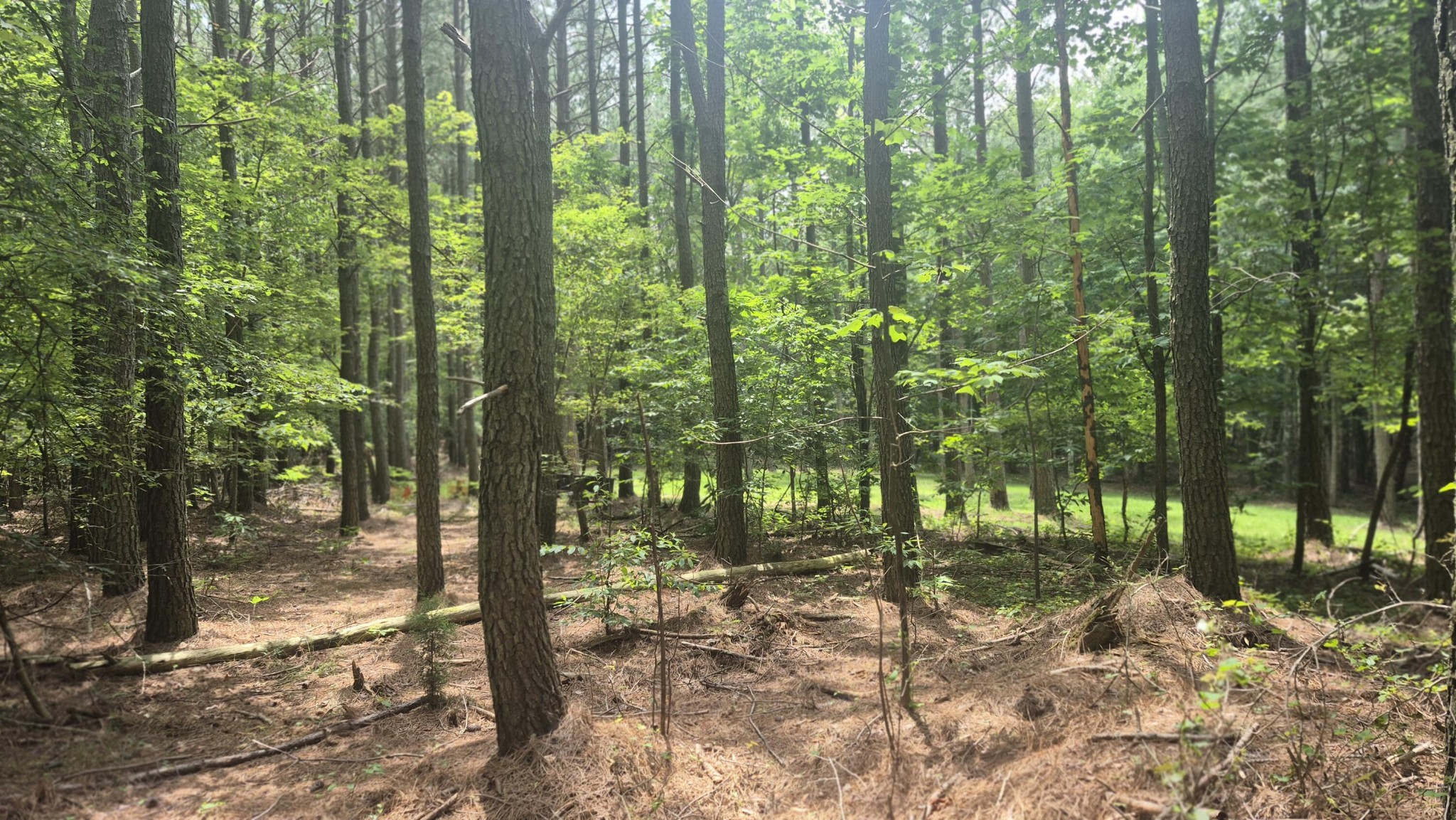 4560 Raulston Falls Drive Jasper, TN 37347 - Photo 22 of 47