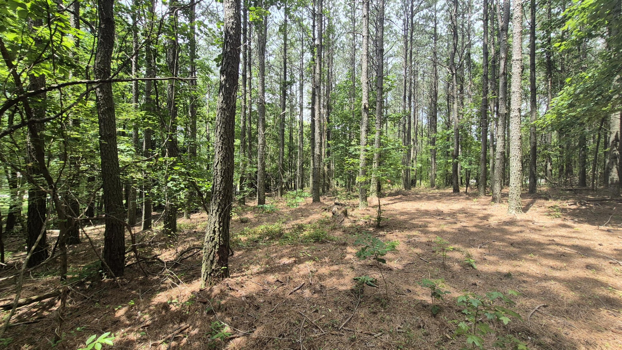 4560 Raulston Falls Drive Jasper, TN 37347 - Photo 24 of 47