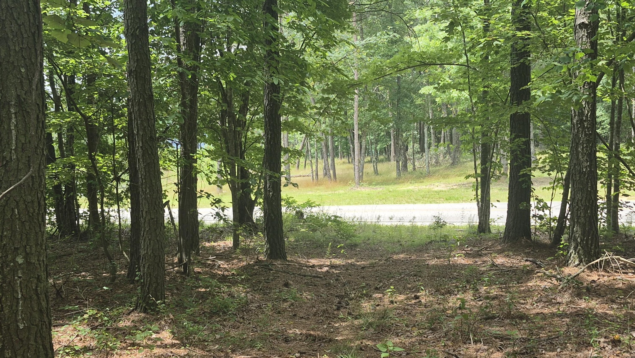 4560 Raulston Falls Drive Jasper, TN 37347 - Photo 25 of 47