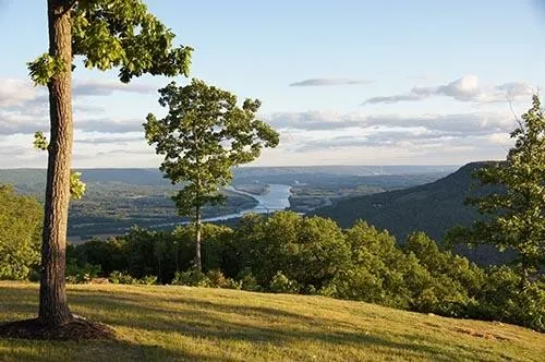 a view of swimming pool with outdoor seating and plants