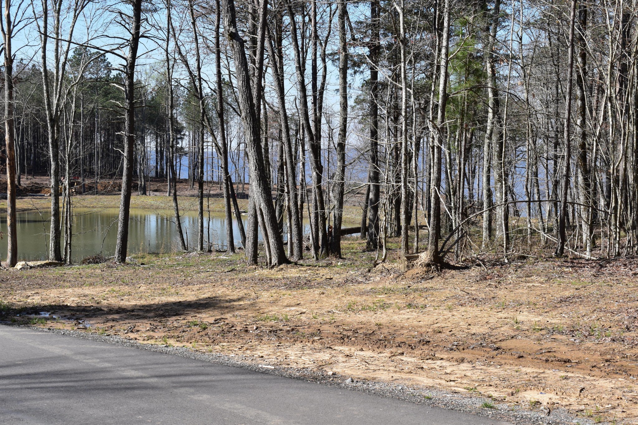 4560 Raulston Falls Drive Jasper, TN 37347 - Photo 3 of 47