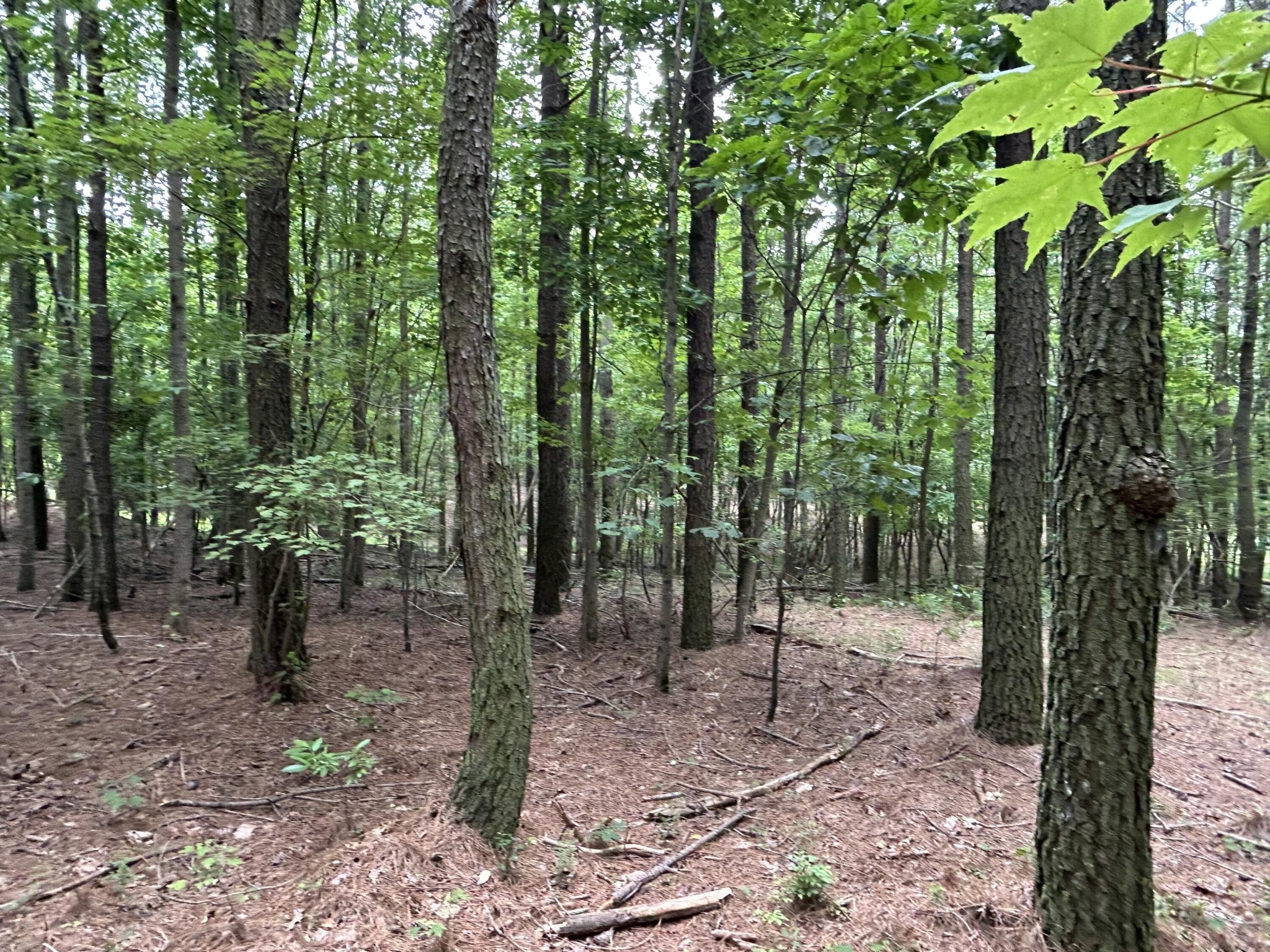 4560 Raulston Falls Drive Jasper, TN 37347 - Photo 5 of 47