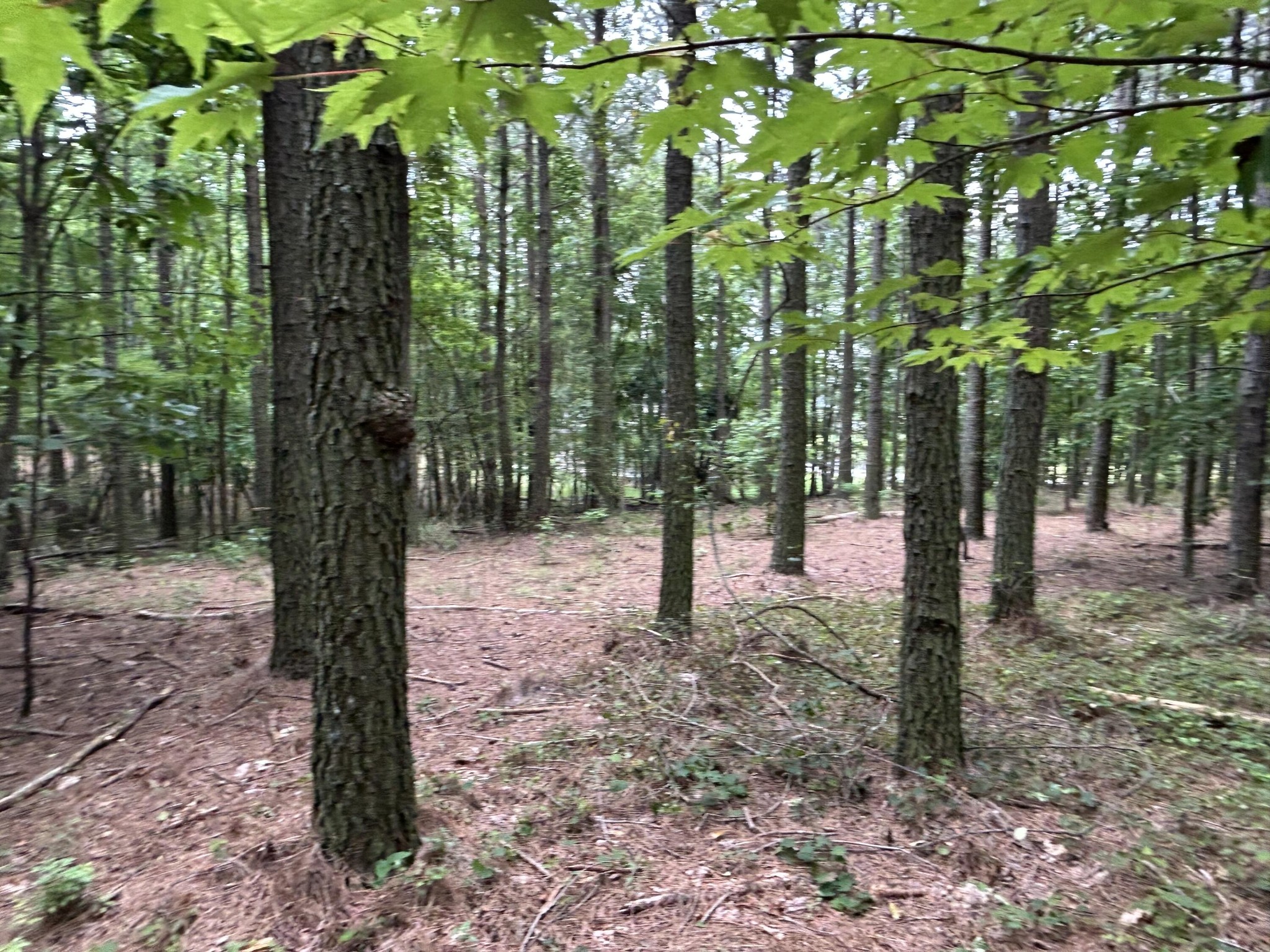 4560 Raulston Falls Drive Jasper, TN 37347 - Photo 6 of 47