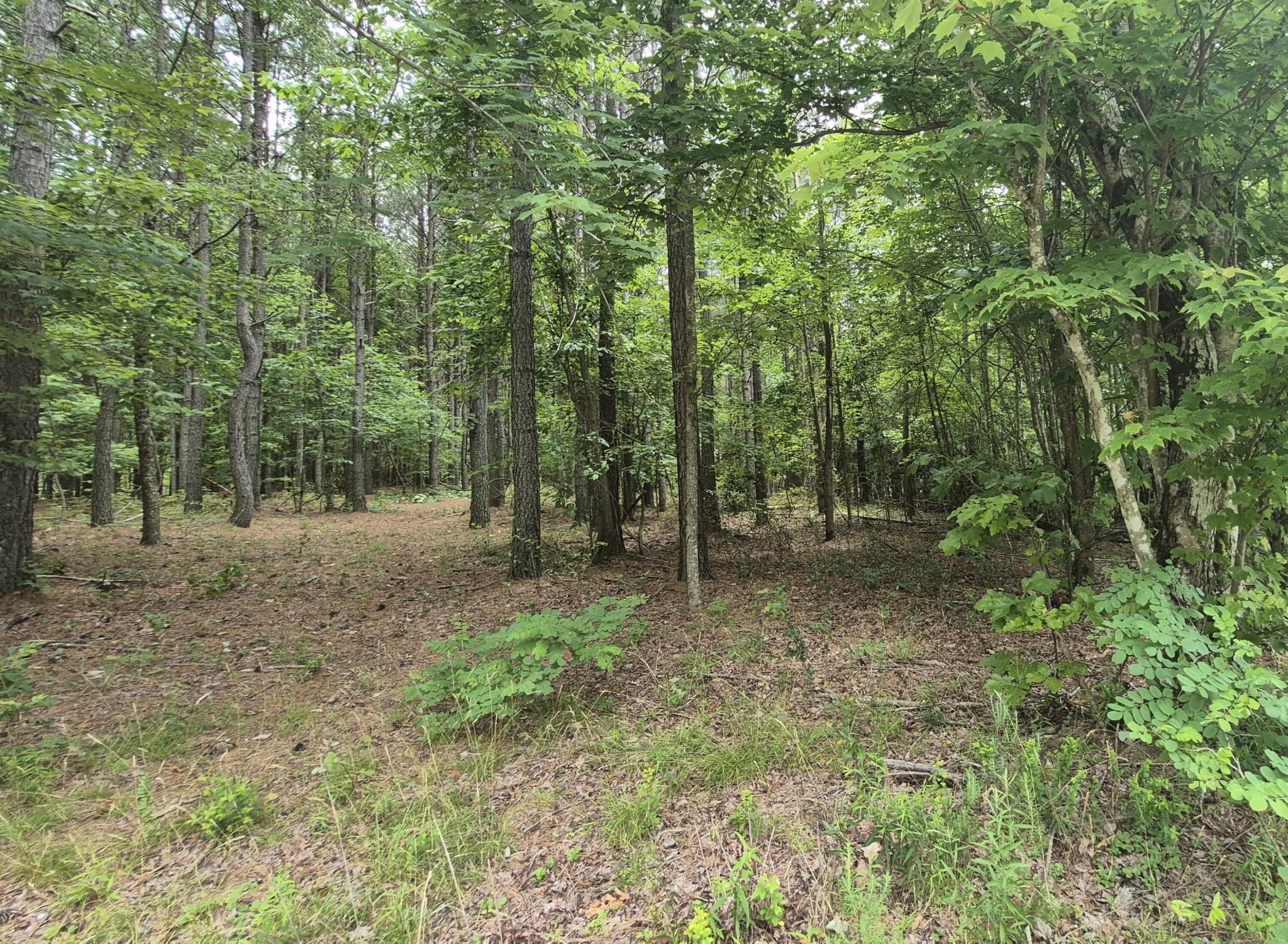 4560 Raulston Falls Drive Jasper, TN 37347 - Photo 8 of 47