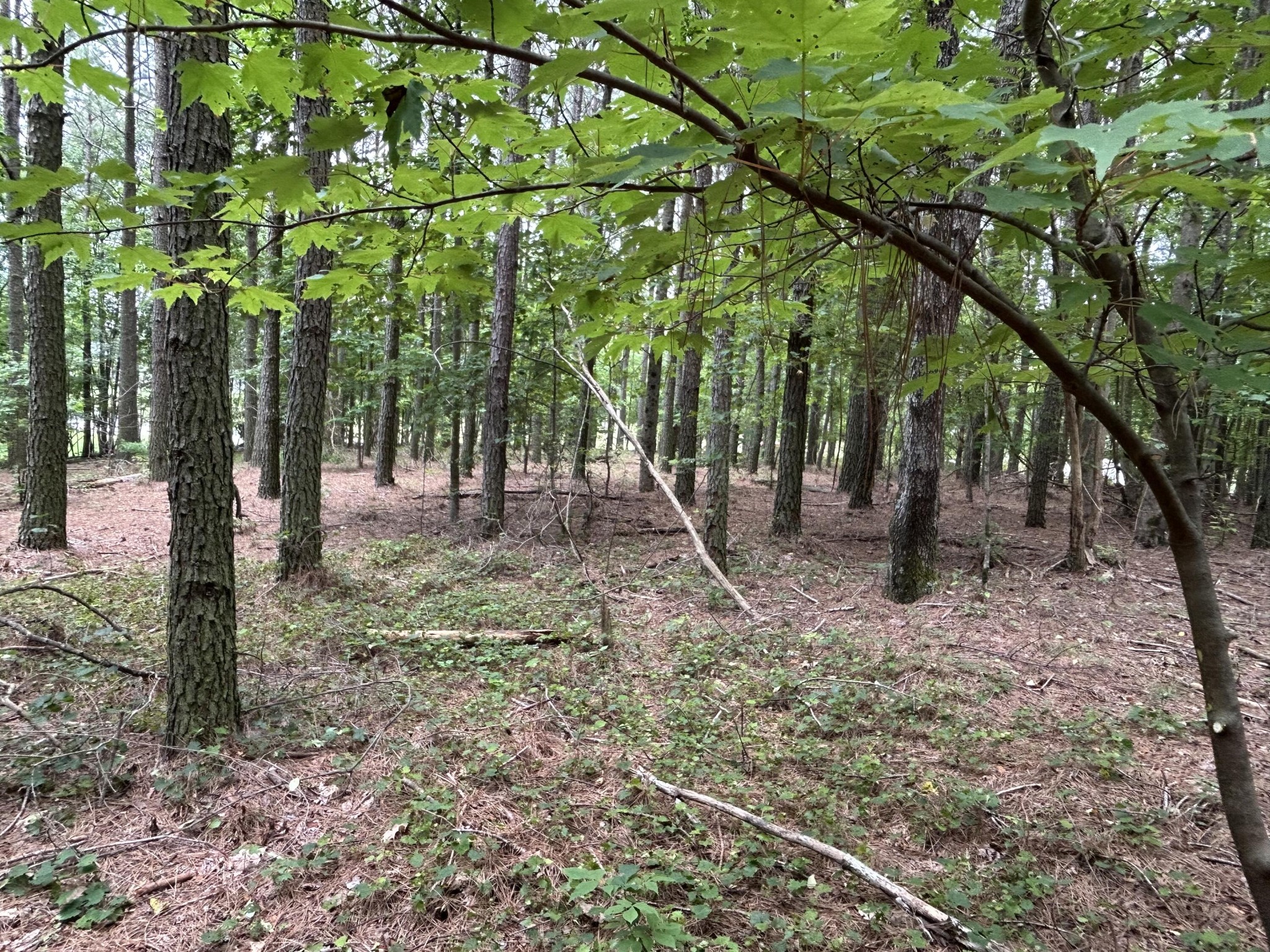 4560 Raulston Falls Drive Jasper, TN 37347 - Photo 9 of 47