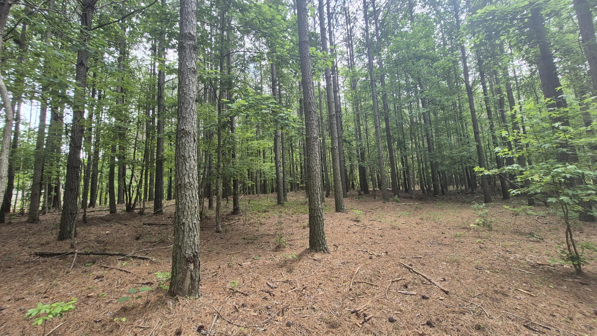 4560 Raulston Falls Drive Jasper, TN 37347 - Photo 10 of 47