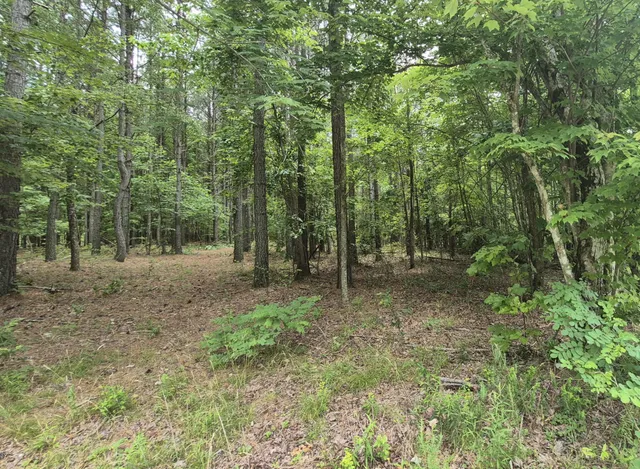 a view of outdoor space and trees