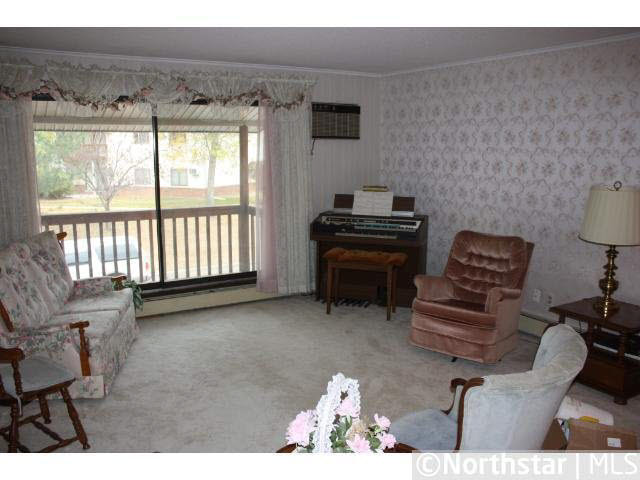 4004 Foss Road, Unit 207 St. Anthony, MN 55421 - Photo 4 of 11