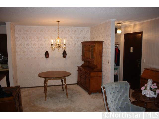 4004 Foss Road, Unit 207 St. Anthony, MN 55421 - Photo 7 of 11
