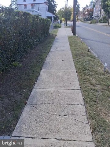 a park with large trees