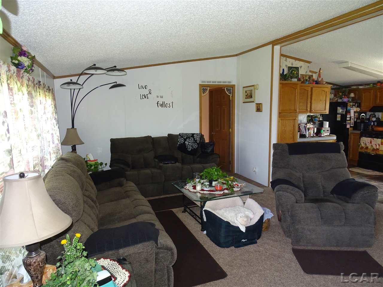 10475 Plank Road Clayton, MI 49235 - Photo 6 of 29 31376983-5.JPG